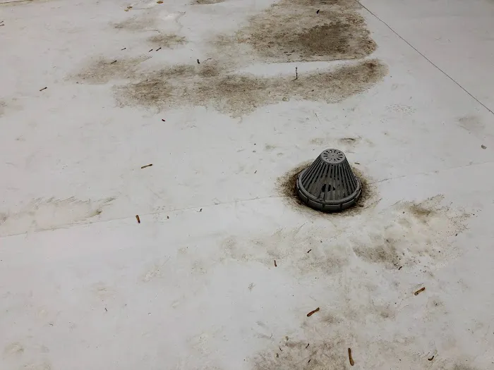 MS roofing Picture 7