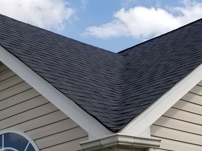 Premier Roofing 704 Picture 2