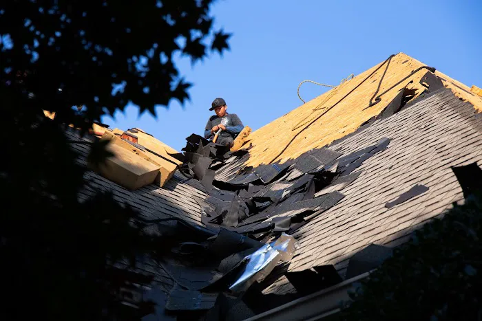 Colony Roofers Picture 8