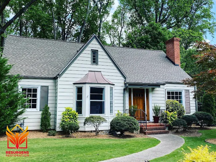 Resurgens Restoration Picture 5