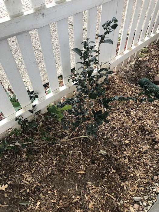 Roberts Roofing and Restoration Picture 2