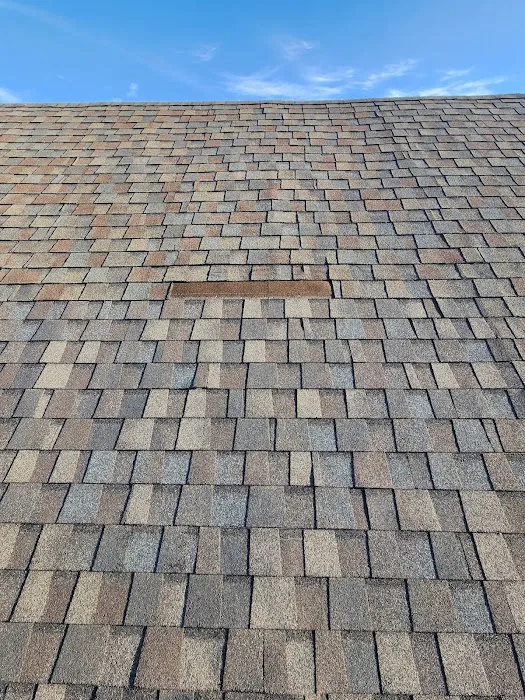 Castle Roofing Picture 6