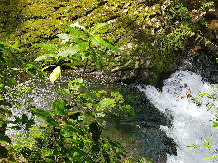 Del Rio Roofing Company Georgia Picture 4