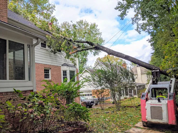 Ryno Roof Systems Inc Picture 5