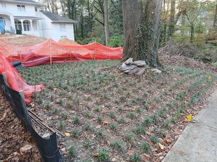 YLS Lopez Roofing Solutions Picture 5