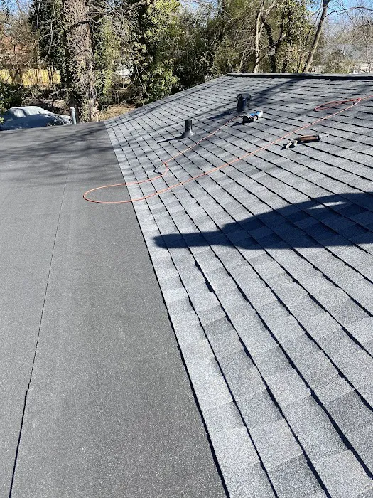 Roof Bullies Picture 7