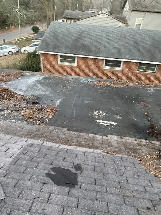 Roof Bullies Picture 5