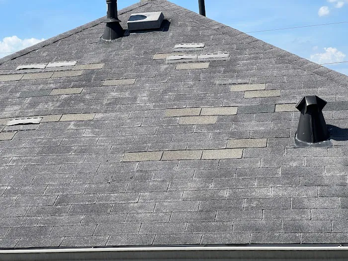 Roof Bullies Picture 4