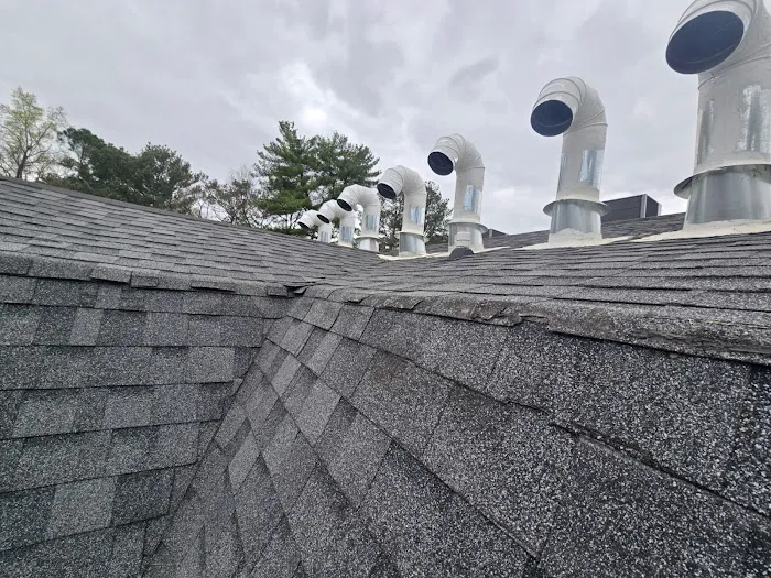 Roof Bullies Picture 1