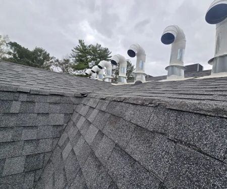 Roof Bullies