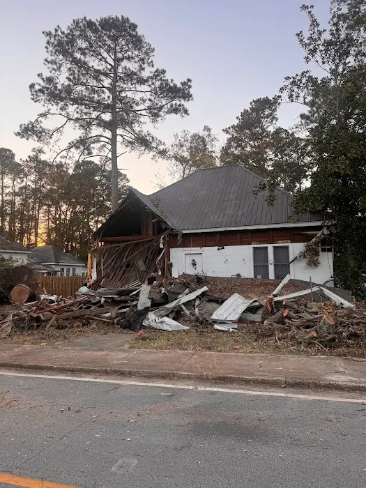 Roof Bullies Picture 6