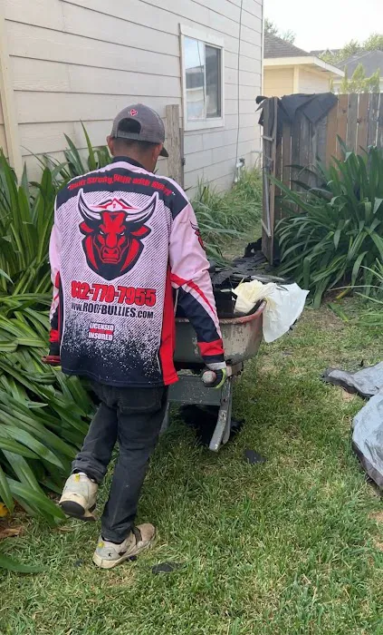 Roof Bullies Picture 9