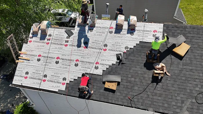 Roof Bullies Picture 8