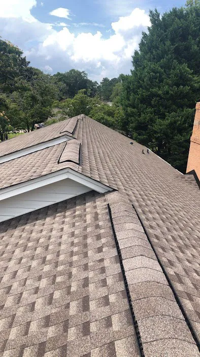 Pink Gorilla Roofing & Solar Picture 9