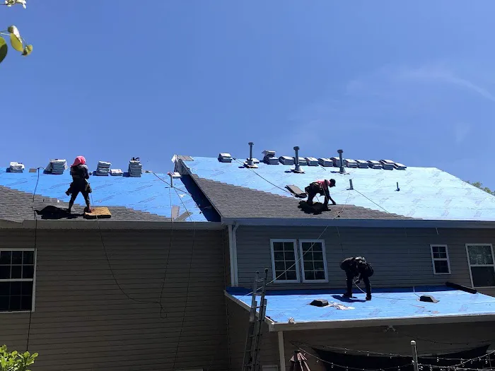 Pink Gorilla Roofing & Solar Picture 8