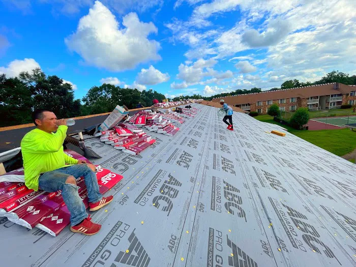 Pink Gorilla Roofing & Solar Picture 10