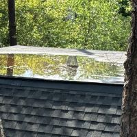 Wilson Roofing Co ico