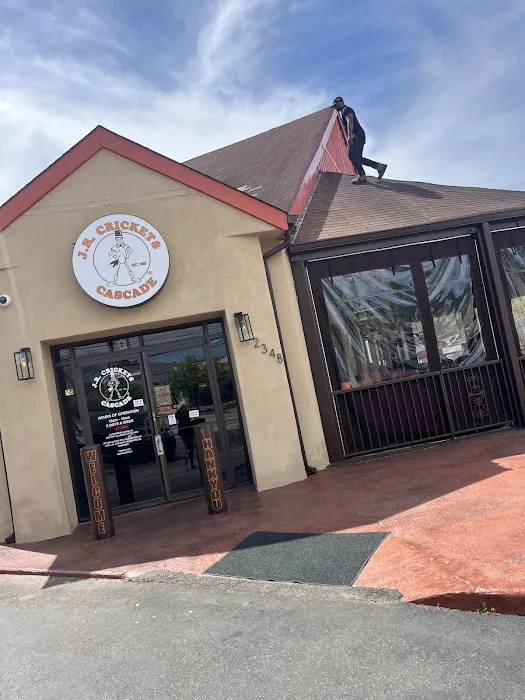 RX Roofing Picture 2