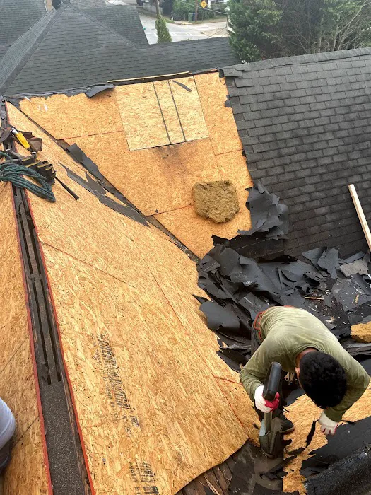 285 Roofing & Restoration Picture 9