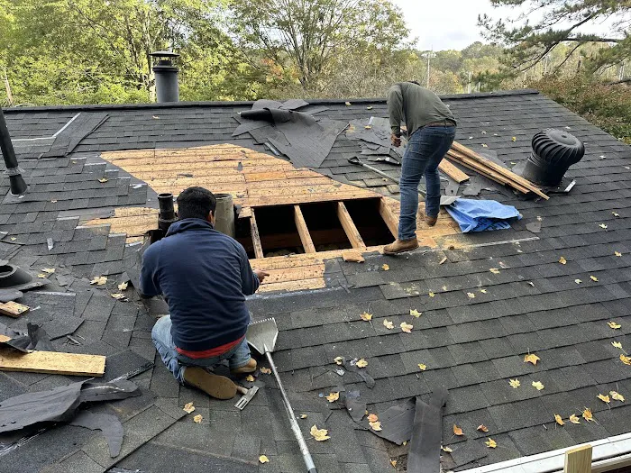 Mighty Dog Roofing Picture 4