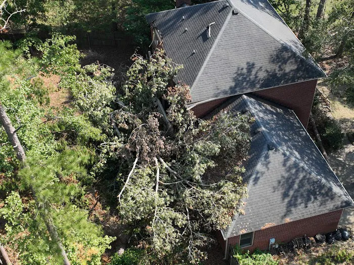 Mighty Dog Roofing of Greater Rockdale County Picture 4