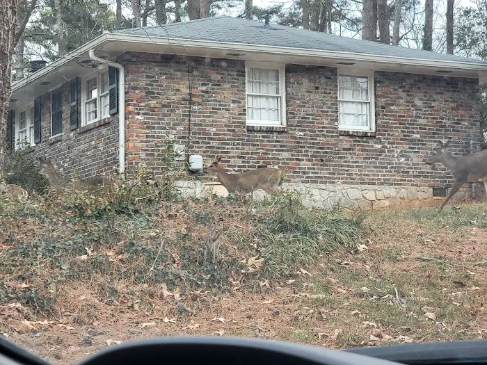 West Roofing And Home Repairs Llc Picture 2