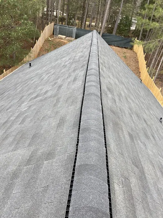 Trinomal Roofing Picture 4