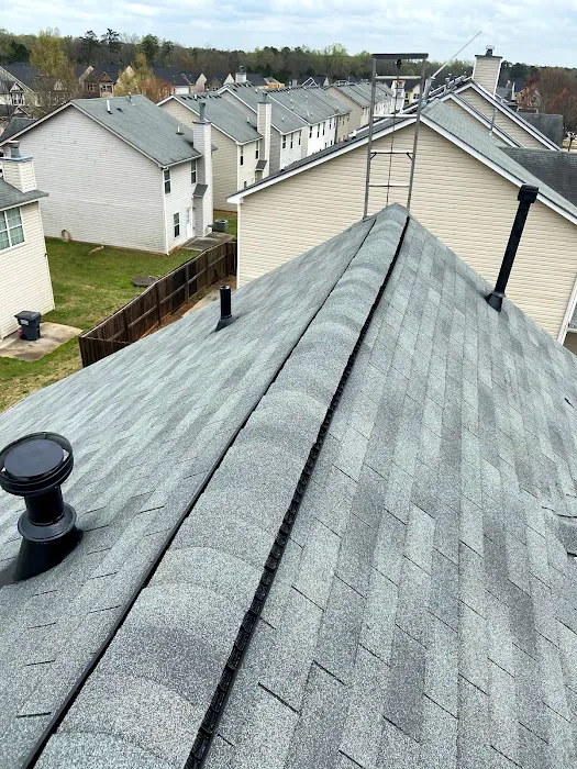 Trinomal Roofing Picture 1