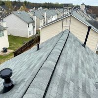 Trinomal Roofing ico