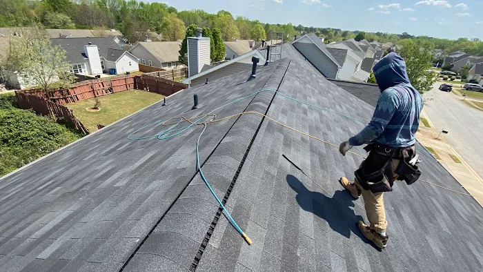 Trinomal Roofing Picture 7