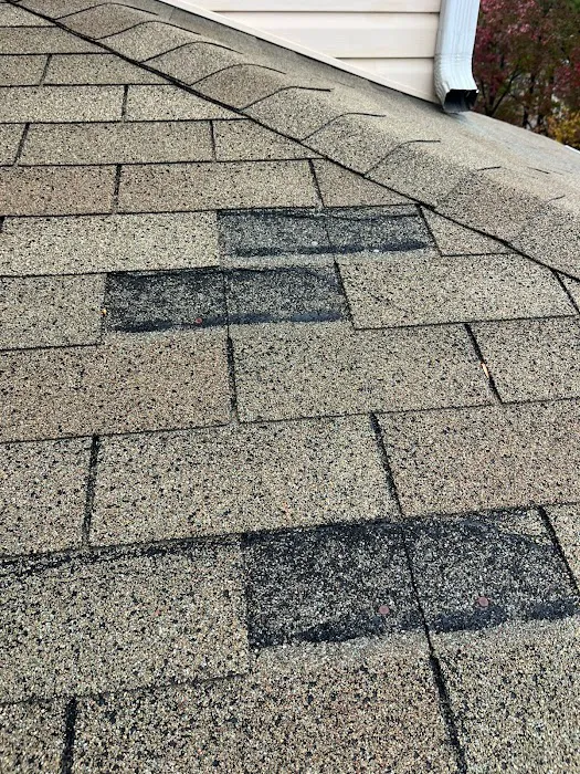 Rob the Roofer Picture 10