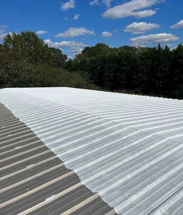 Rob the Roofer Picture 5