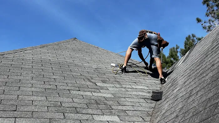 Rob the Roofer Picture 7