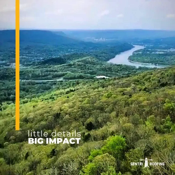 Signal Roofing Picture 5