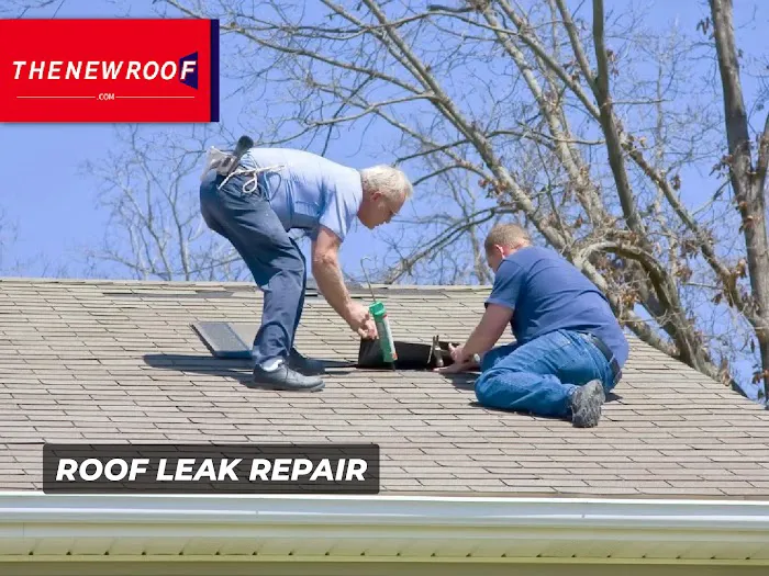 The New Roof Picture 8