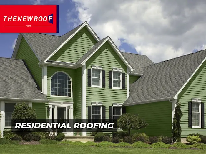 The New Roof Picture 3