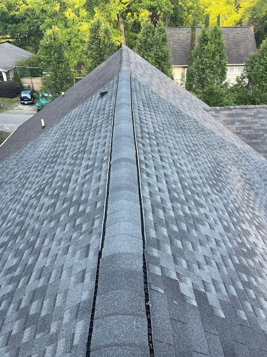 Marios Roofing & Tree Services Picture 6