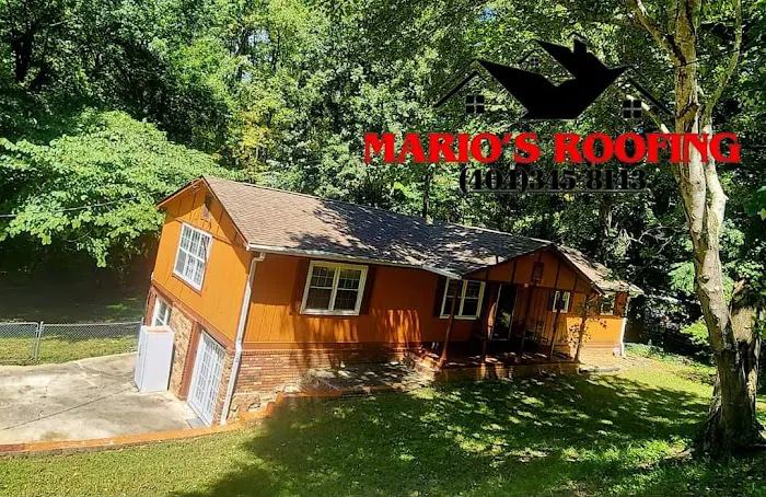 Marios Roofing & Tree Services Picture 10