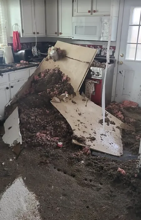 Roofing Company Atlanta LLC Roofing Repair and Roofing Replacement Picture 6