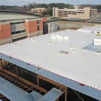 Roof Management Inc. ico