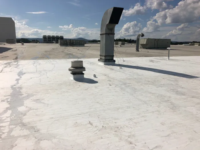 Professional Roofing Technology Picture 1