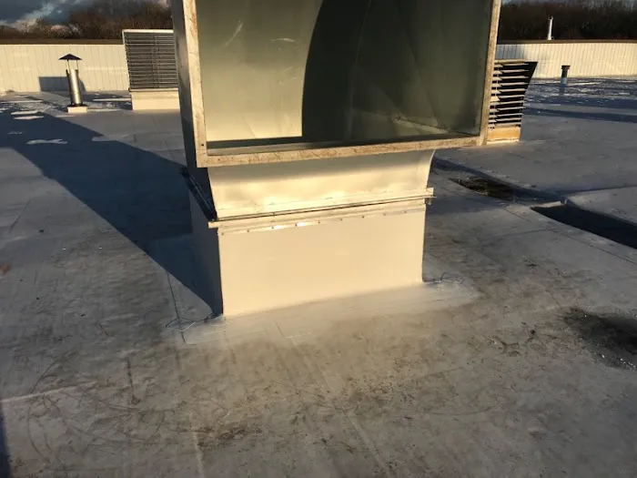 Professional Roofing Technology Picture 5