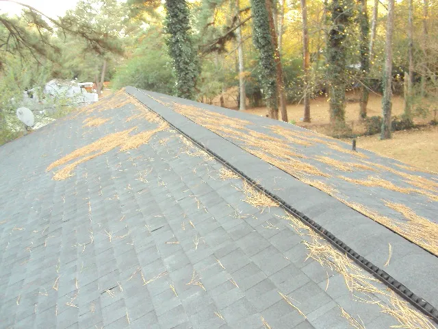 Gonzales Roof Contractor Picture 1