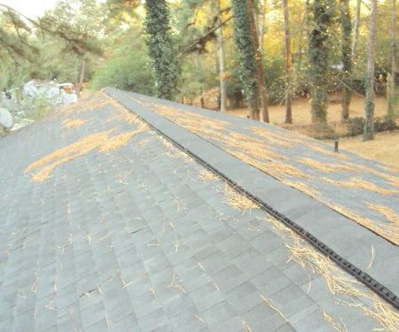 Gonzales Roof Contractor