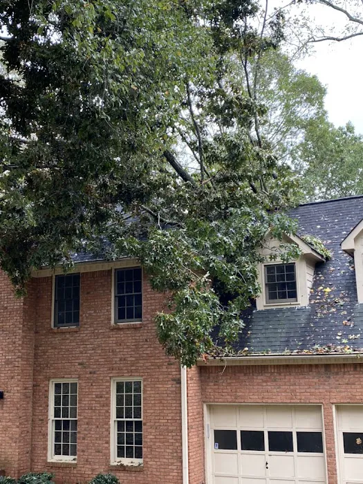 TruCare Restoration Picture 3