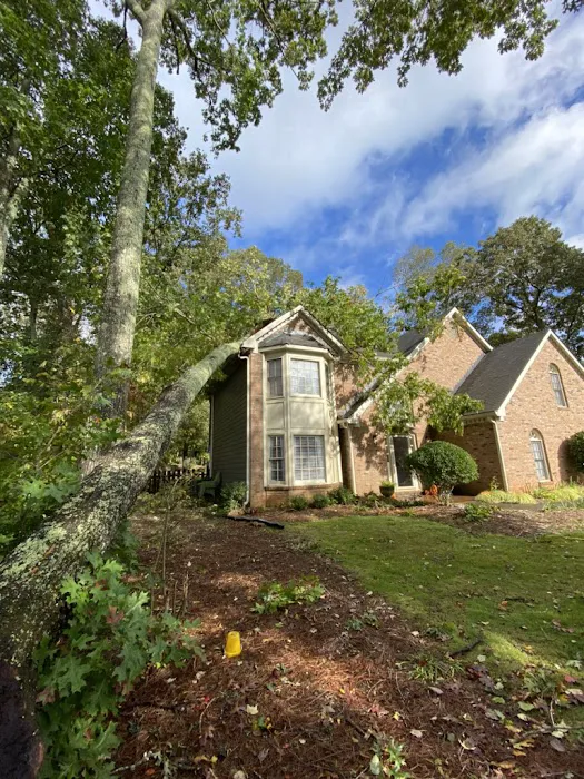 TruCare Restoration Picture 1