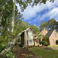 TruCare Restoration ico