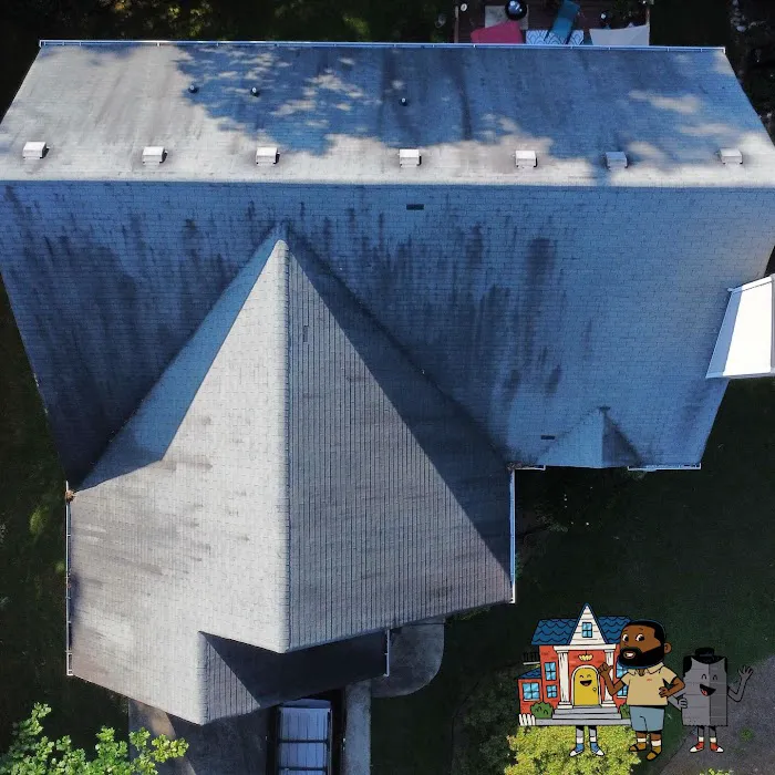 The Roof Gallery Picture 3