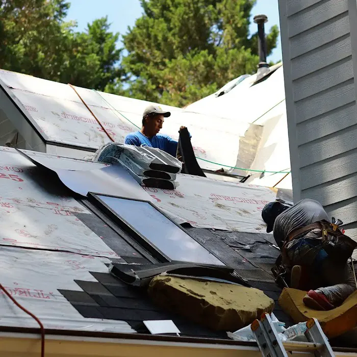 The Roof Gallery Picture 4