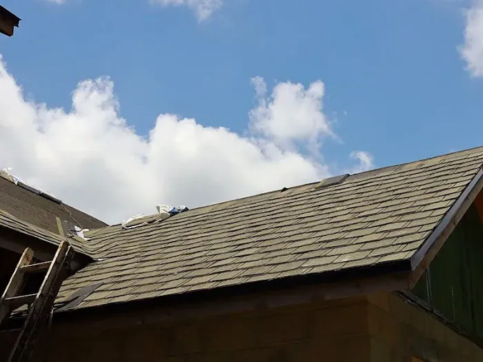 The Roof Gallery Picture 2